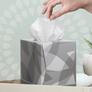 Facial Tissue Paper Pack
